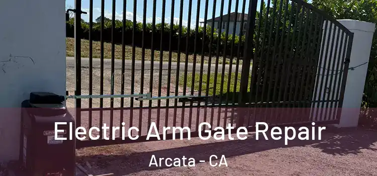 Electric Arm Gate Repair Arcata - CA