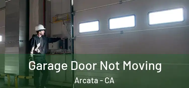  Garage Door Not Moving Arcata - CA