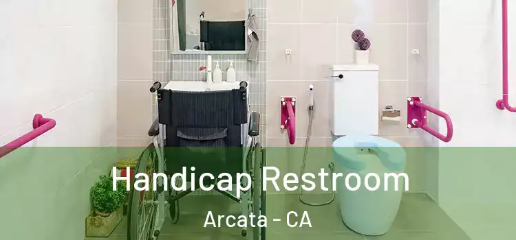 Handicap Restroom Arcata - CA