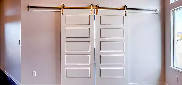 Glass Barn Door with Installation Hardware Kit Arcata