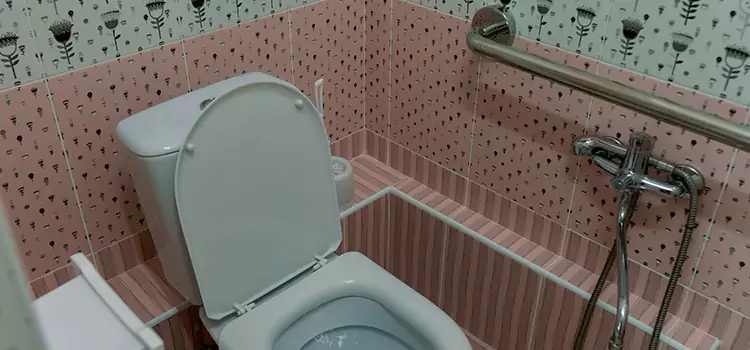 Meeting Diverse Needs With Accessible Restroom Solutions in Arcata, CA